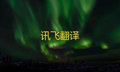 付费讯飞翻译